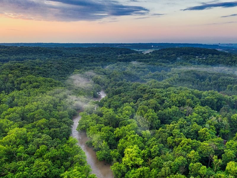 Bosque Amazonas y río en un amanecer