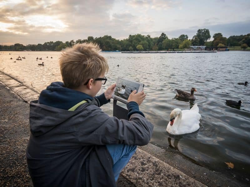 Un niño fotografía aves en un parque, Hyde Park. En Reino Unido