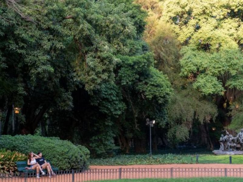 El Jardín Botánico. Árboles muy altos, unas personas descansando en un banco