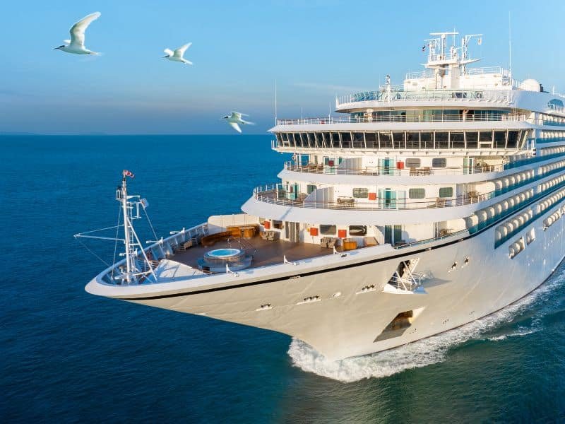 Un gran crucero navega por el mar, unas gaviotas vuelan por el cielo.