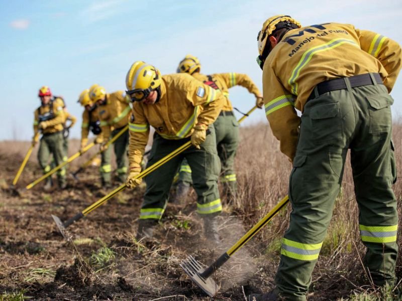 Bomberos rastrillan el suelo luego de los incendios forestales en el Delta del Paraná