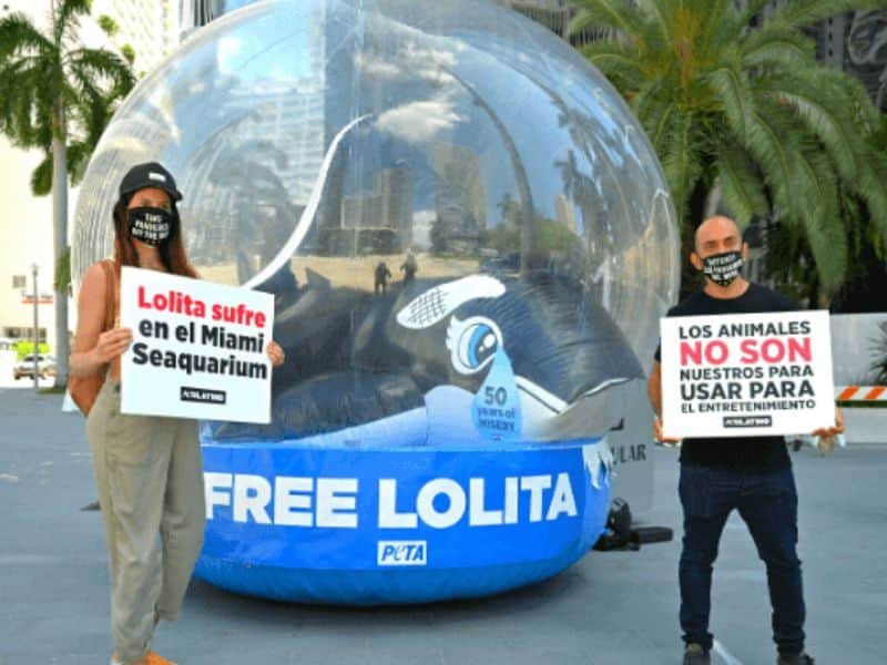 Una protesta por la liberación de la orca Lolita organizada por PETA. Dos personas sostienen carteles sobre la campaña