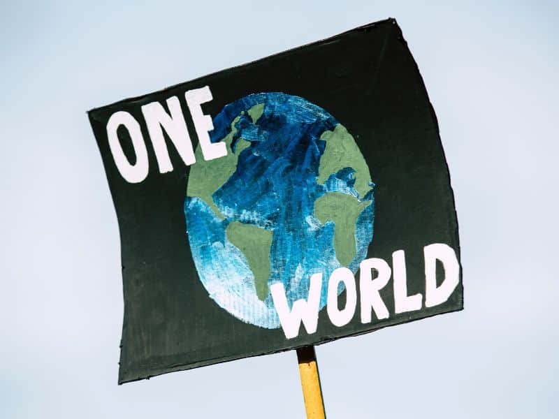 Cartel de protesta con un dibujo de la Tierra que dicen "One world" (un mundo), busca alertar sobre desafiar los límites del mundo