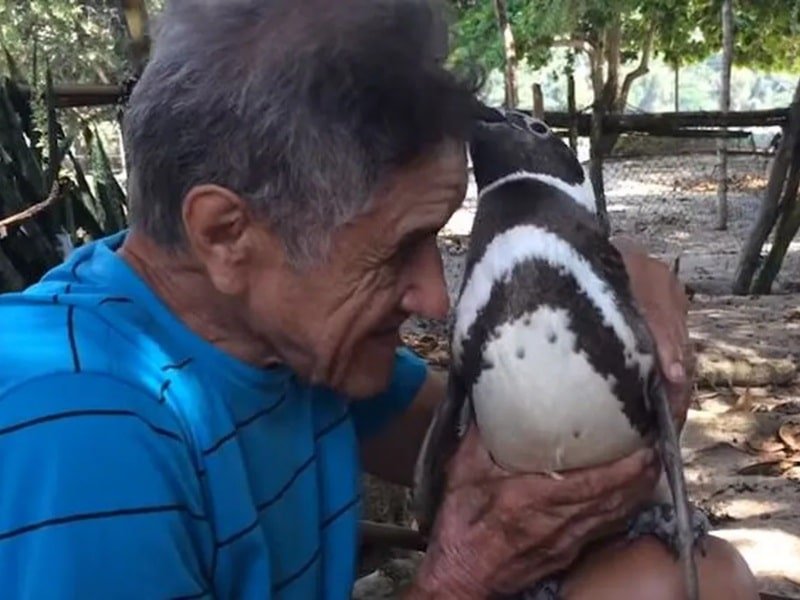 DinDim, el pingüino junto con João Pereira de Souza