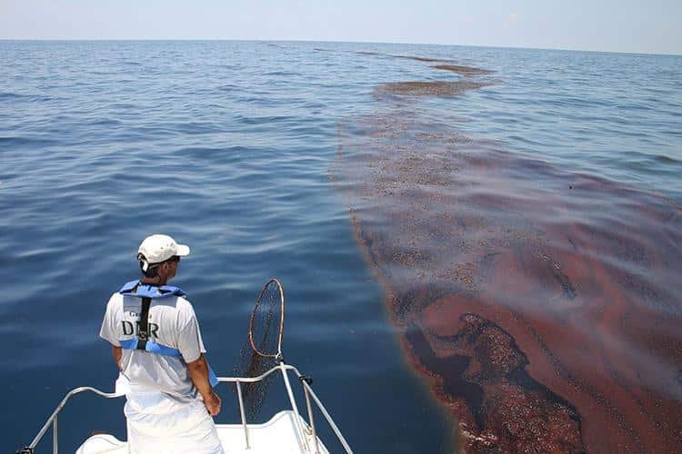 derrame de petróleo en el Golfo de México