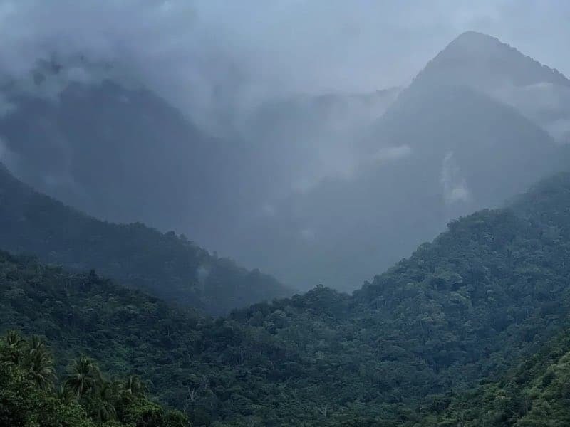 Las montañas Cíclopes de Indonesia, donde encontraron al mamífero equidna de pico largo de Attenborough.
