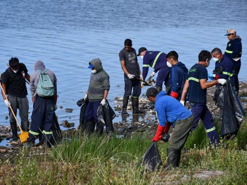 Los vecinos se sumaron a ayudar al municipio a quitar los pescados en las orillas de la laguna de Chascomús.