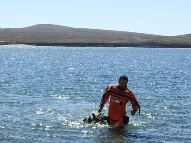 un especialista sacando redes de pesca ilegales con pingüinos de Magallanes muertos