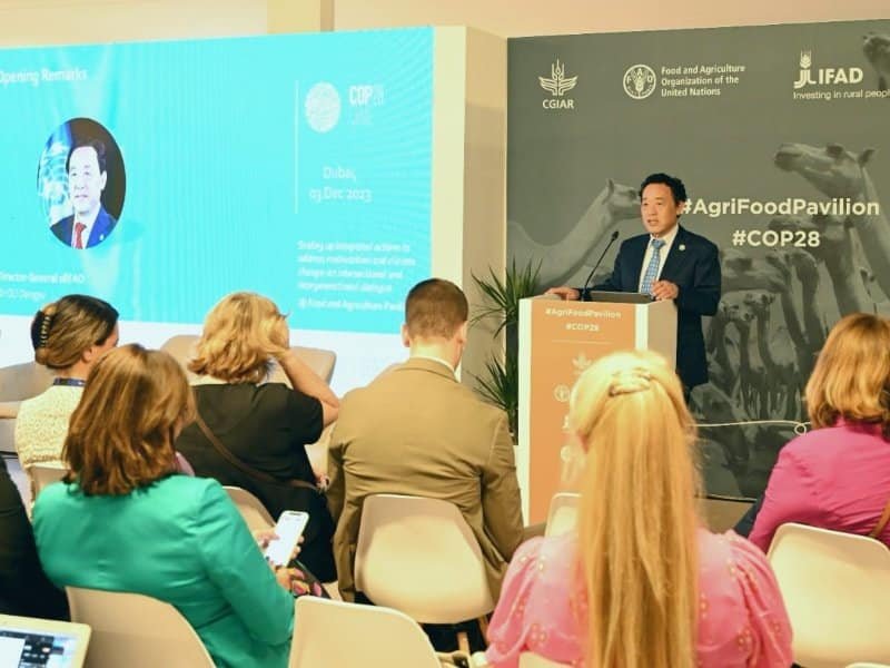 En el primer Día de la Salud de la cumbre sobre el clima, la FAO destaca los desafíos interconectados de la malnutrición y el cambio climático, el Director General de la FAO encabeza un evento paralelo a la COP28 junto con la Presidenta de Eslovenia, Nataša Pirc Musar.