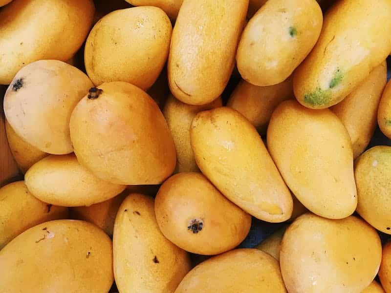 cuero ecológico a base de mangos