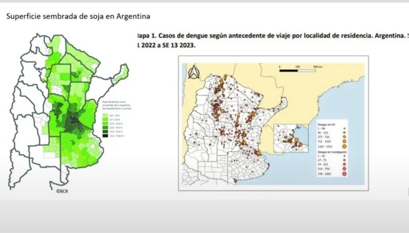 Comparación de los mapas de la soja (a la izquierda) y de los casos de dengue (izquierda). (Foto: captura de pantalla @diego_garciarios).
