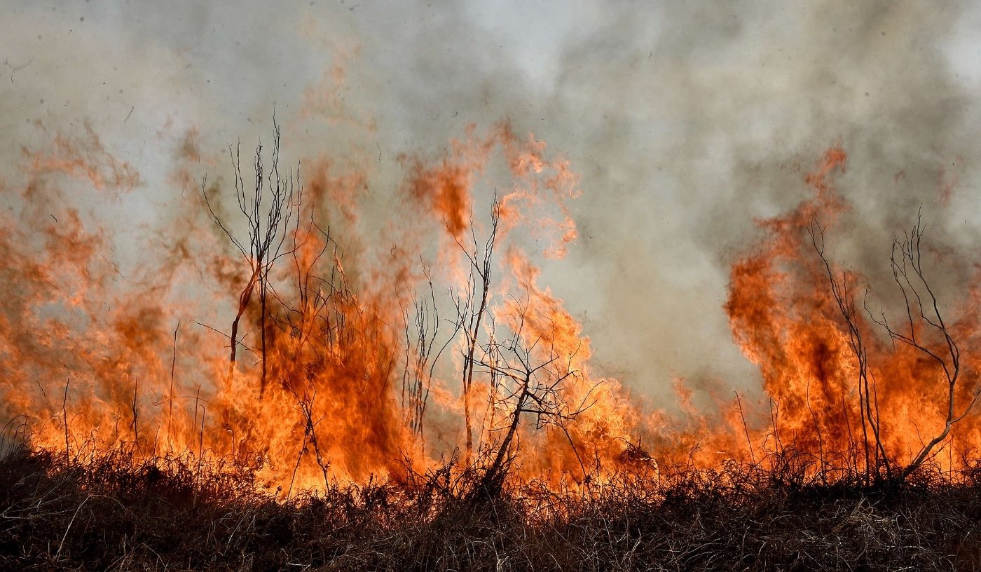 Incendios intencionales en el delta del Paraná.