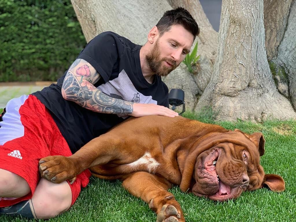 Mirá las fotos de los perros de la Selección Argentina.