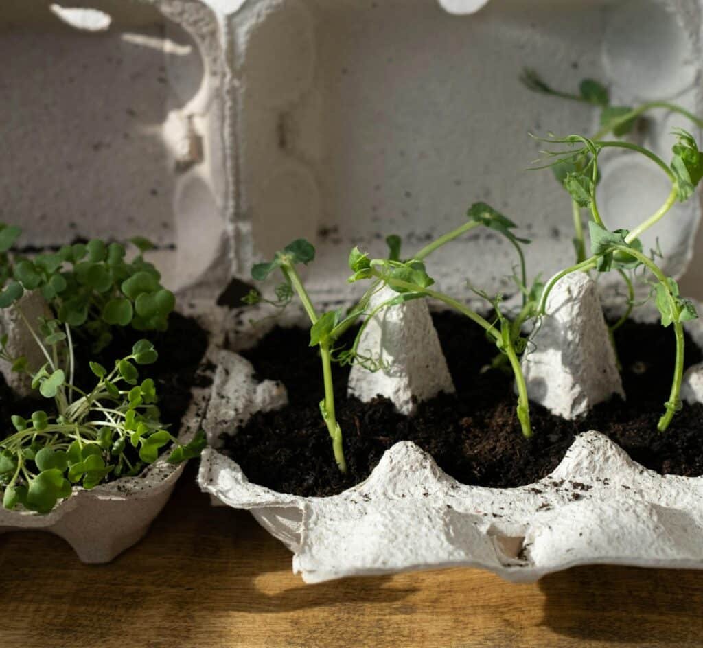 Zero Waste: cómo aplicar esta filosofía en la cotidianeidad
