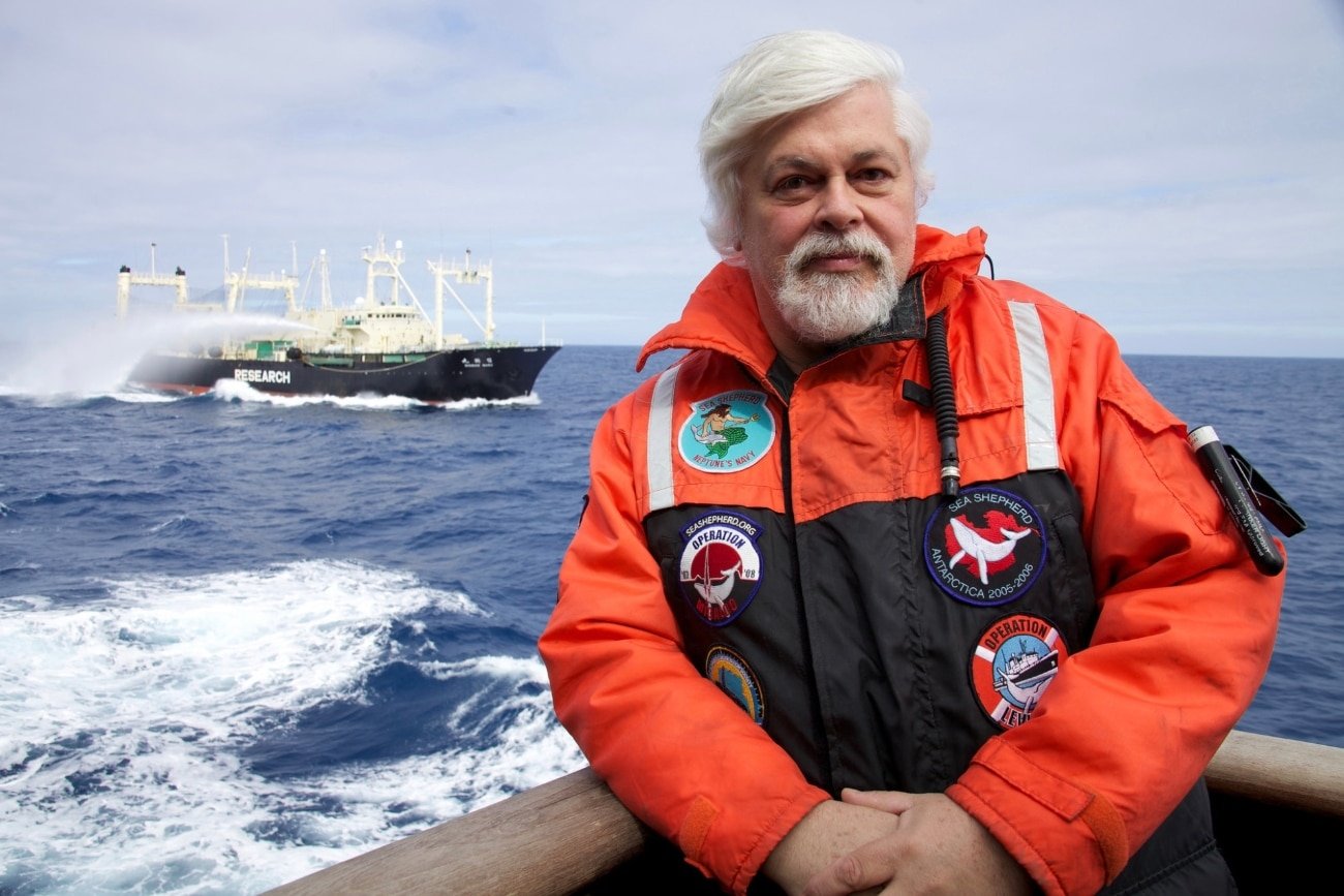 Paul Watson fue detenido en Groenlandia por obstaculizar la actividad de Japón.