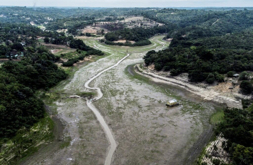 Más de la mitad de Brasil en sequía: la deforestación es el principal responsable.