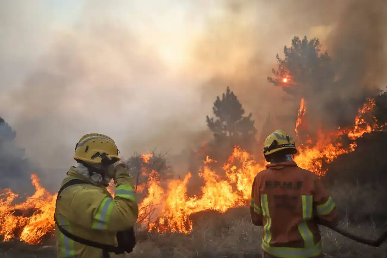 Más de 200 bomberos trabajan incansablemente, con el apoyo de aviones hidrantes, para controlar la situación.