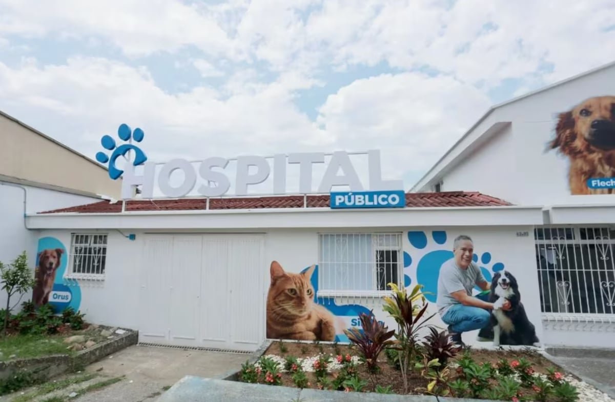 Previo a su apertura oficial, el hospital atendió a 230 animales y realizó más de 500 esterilizaciones y 98 adopciones responsables.