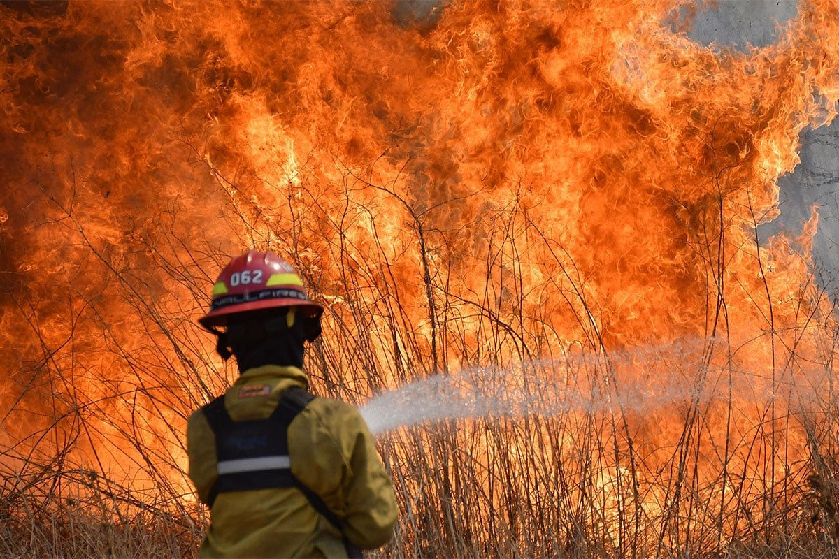 Según el diputado Brügge, la legislación actual sobre incendios intencionales presenta lagunas y las penas son insuficientes.