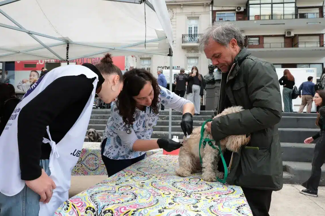 La Universidad de Buenos Aires puso en marcha un nuevo móvil veterinario en el marco del programa de asistencia comunitaria “UBA en Acción”.