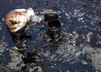 ¿Petróleo vs. paraíso? El futuro de los tesoros marinos de Perú en juego