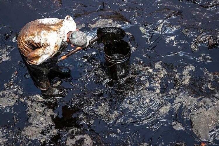 ¿Petróleo vs. paraíso? El futuro de los tesoros marinos de Perú en juego