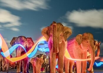 La manada que nadie esperaba: los esculturales elefantes llegan desde la India a Palm Beach