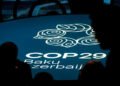COP29: ¿Qué pasó en Bakú y como quedamos parados de cara a Belem?