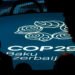 COP29: ¿Qué pasó en Bakú y como quedamos parados de cara a Belem?