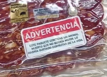“Tu supermercado vende crueldad”: qué denuncia la campaña que está revolucionando Europa