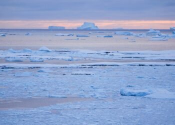 La plastisfera antártica, un nuevo ecosistema único y potencialmente peligroso