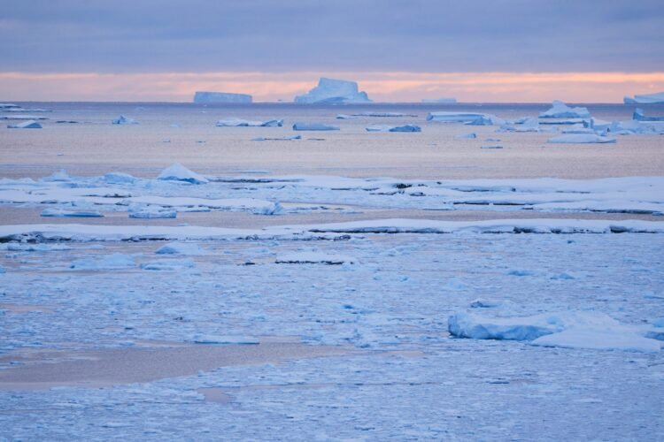 La plastisfera antártica, un nuevo ecosistema único y potencialmente peligroso