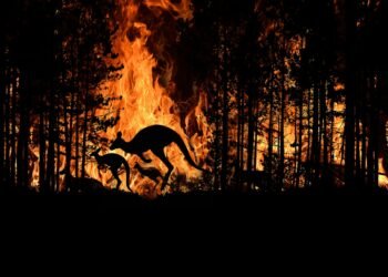 Latigazos hidroclimáticos, la nueva cara del cambio climático