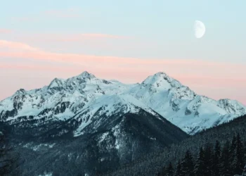 Hacer silencio: el ruido de la humanidad es el enemigo de la naturaleza