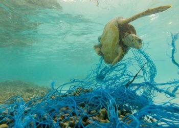 Las redes marinas abandonadas en los océanos, otra fuente de contaminación por plásticos