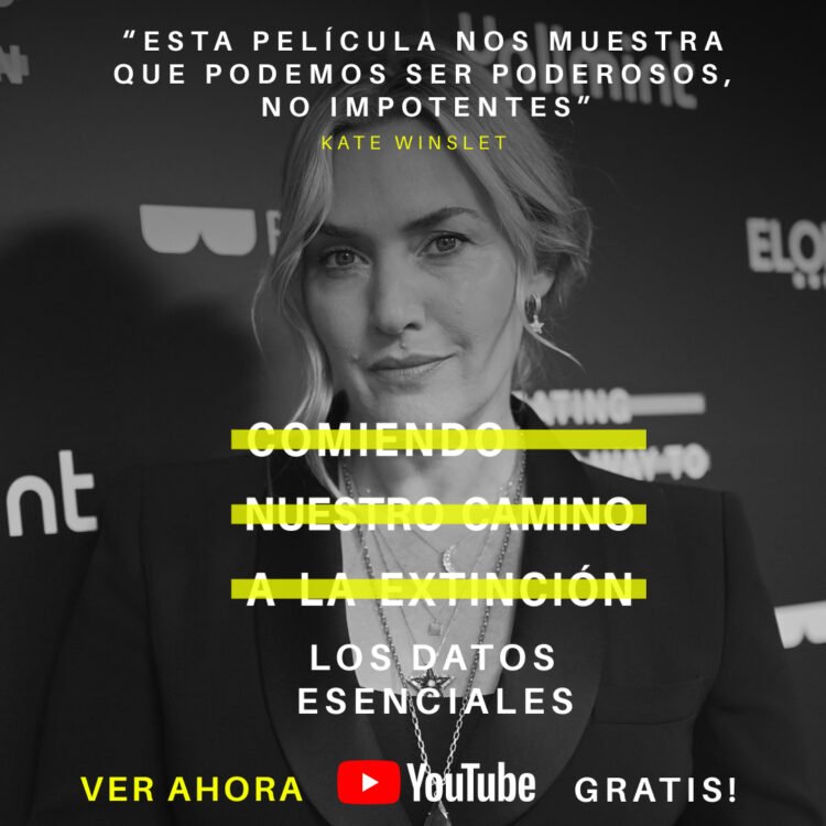 ¿Qué opinan los medios más importantes del documental de Kate Winslet y Liz Solari?