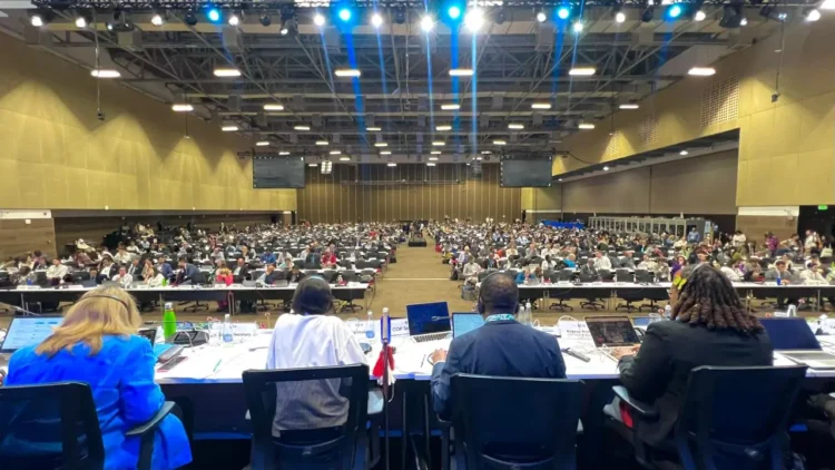 La COP16 sobre biodiversidad se reanuda en Roma con el financiamiento como eje central