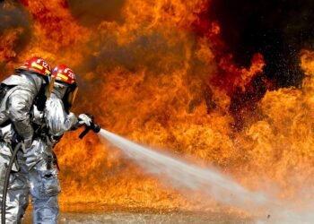 Incendios en Los Ángeles: costos sociales e historias de esperanza