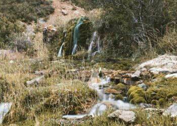 Reserva Natural Villavicencio: 25 años protegiendo el agua y la biodiversidad