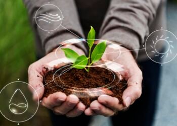 Día Mundial del Clima: más empresas adoptan prácticas sostenibles, pero muchos descreen de su compromiso genuino