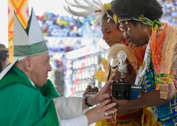 Las 5 acciones sustentables del Vaticano que impulsó el Papa Francisco