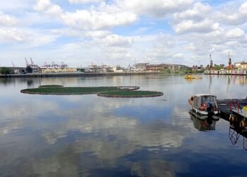 Denuncian al Estado argentino ante la CIDH por frenar la limpieza del riachuelo