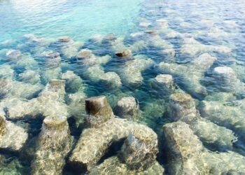 ArtReef: arrecifes sostenibles hechos de mármol reciclado