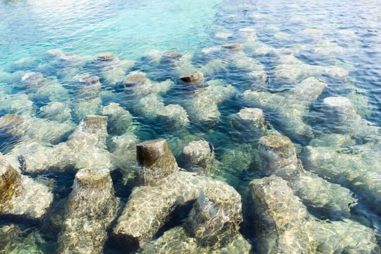 ArtReef: arrecifes sostenibles hechos de mármol reciclado