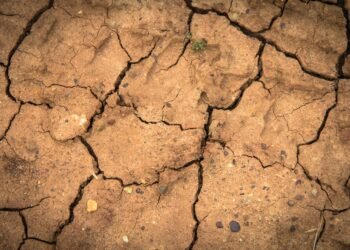 El lado oscuro de la IA: nuevos centros de datos drenarán las regiones más secas