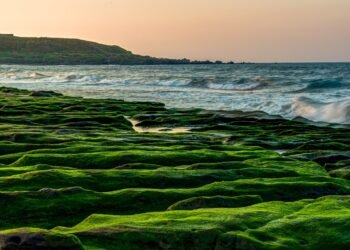 El pasado verde de la Tierra: cuando los océanos no eran azules