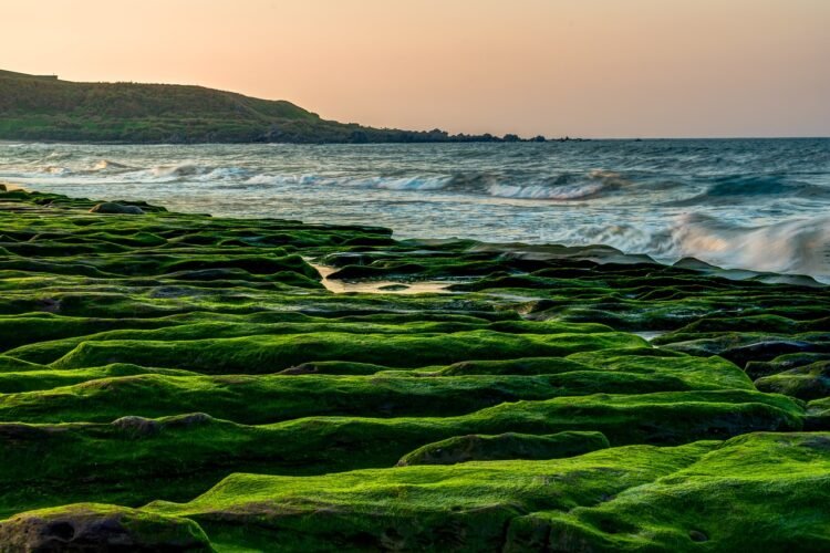 El pasado verde de la Tierra: cuando los océanos no eran azules