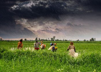 India: el monzón avanza con furia y se convierte en el más temprano en 16 años