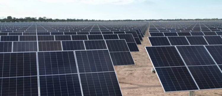 Por qué la transición energética es clave para el futuro (y cómo Unilever se suma al cambio)