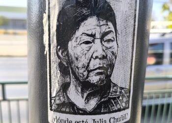 Qué pasó con Julia Chuñil, la ambientalista chilena que desapareció en medio de su defensa por los territorios mapuches